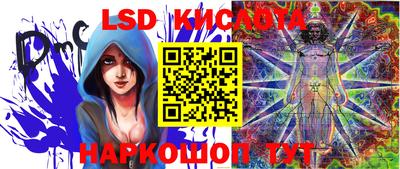 шишки Кинель