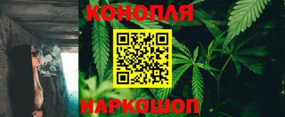 шишки Кинель