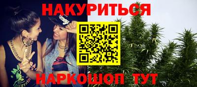 шишки Кинель