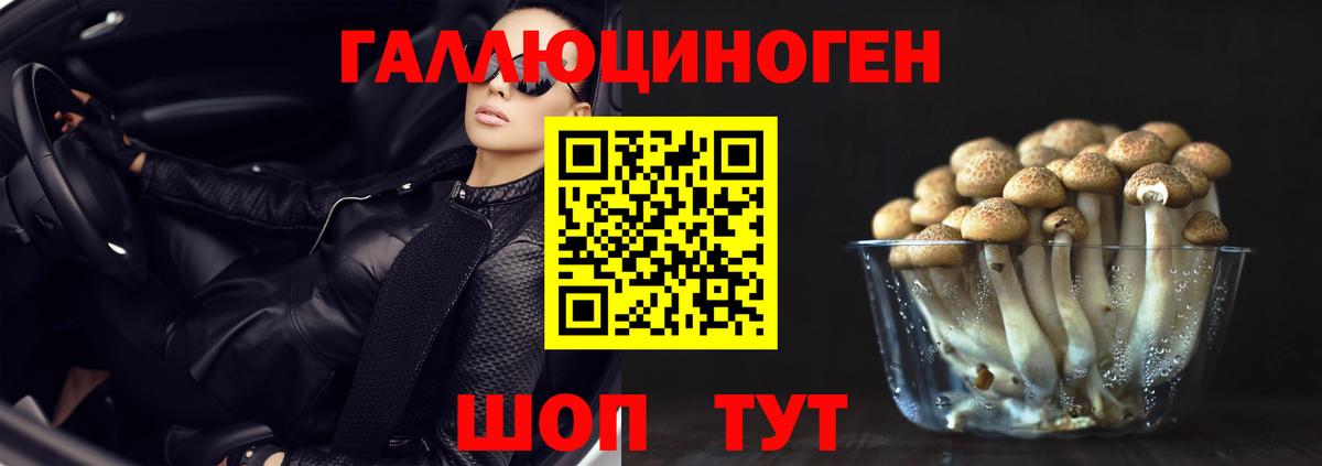 как найти наркотики  Вход с VPN  Кириши  Псилоцибиновые грибы прущие грибы 